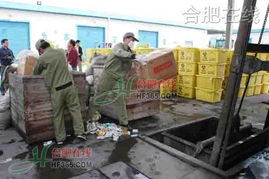 过期药品化为一缕青烟 记者吴山固体废物处置中心亲历销毁全过程