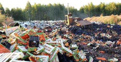 广州南沙区儿童服装销毁专业销毁中心欢迎来电