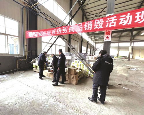 烟台日报电子报刊