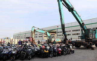 浙江台州路桥区集中销毁侵假冒物资50余吨 货值超700万元