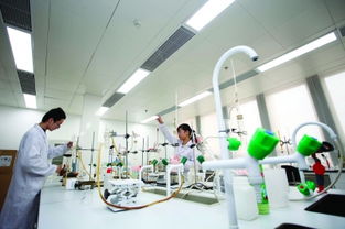 数说金陵舌尖事 食品抽检总关情，销毁中心保安全